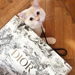 Profile Picture of Prince Casper (@caspermclori) on Instagram