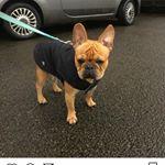 Profile Picture of Daniel Blain (@daniel_barnard20) on Instagram