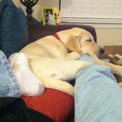 Profile Picture of Wesley D. Sudduth (@wdsudduth) on Twitter