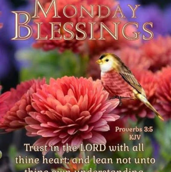 Profile Picture of Joseph Eyiah (@eyiah12) on Poshmark