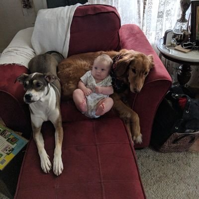 Jake Beecher - Twitter Profile Picture of Jake Beecher (@22Beech22) on Twitter