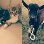 Profile Picture of lucille.langlet (@lucille.langlet) on Instagram