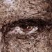 Profile Picture of Robert Puckett (@repuck) on Pinterest