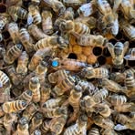 Profile Picture of Frank Borkowski (@Frank-Borkowski) on Facebook