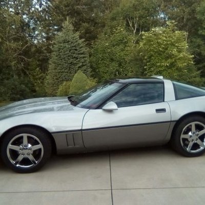 Profile Picture of Joe Coccimiglio (@JeffreyBleiler) on Twitter