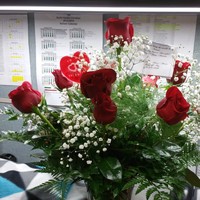 Cassandra Birch - Quora Profile Picture of Cassandra Birch (@cassandra-birch-1) on Quora