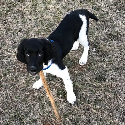 Profile Picture of Mark Posner (@mmjlj12) on Twitter