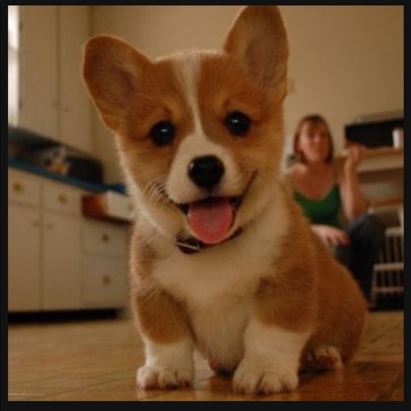 Profile Picture of Jia Kim (@jiaaza) on Poshmark