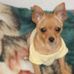 Profile Picture of Goldie Bella Mancuso (@goldiebella.mancuso) on Facebook