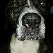 Profile Picture of Logan Haley (@loganhaley3433) on Youtube