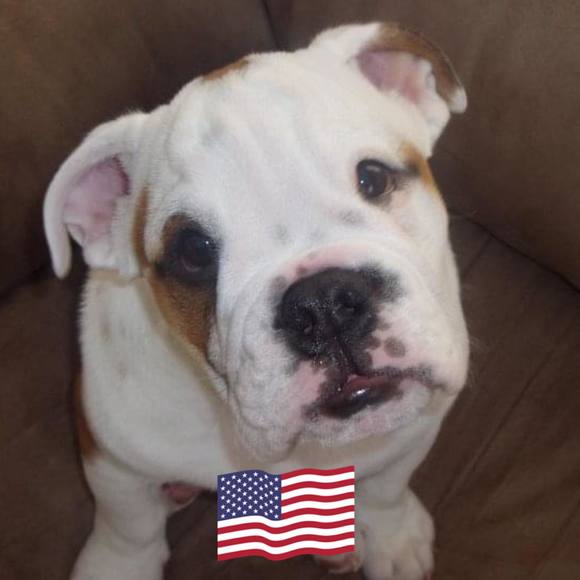 Profile Picture of Jessica Stedman (@stemanjessica) on Poshmark