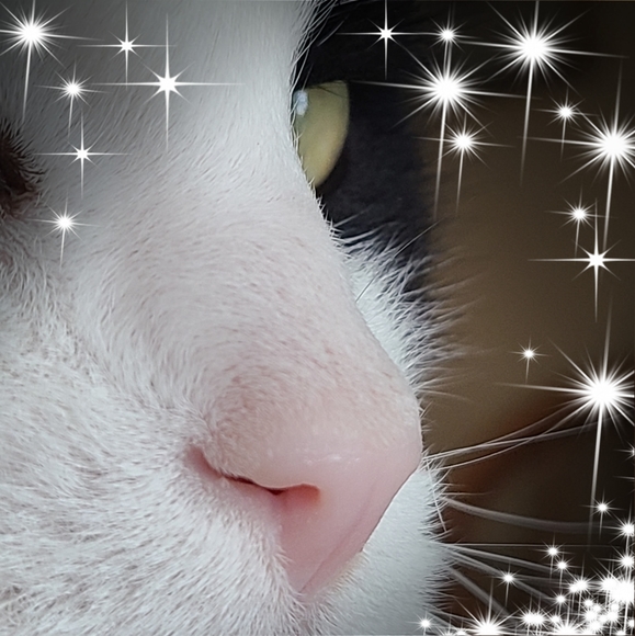 Profile Picture of Melinda Stclair (@melindaleestc) on Poshmark