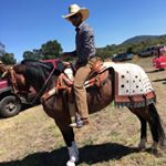 Profile Picture of Emilio Escobedo (@el.mona.95) on Instagram