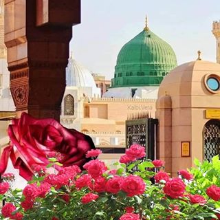 Profile Picture of Golden Person (@golden.person.353) on Facebook