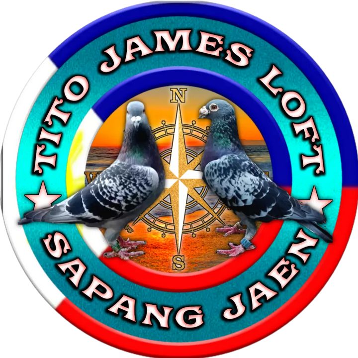 Profile Picture of 🕊️tito James loft🕊️✔️ (@titojamesloft) on Tiktok