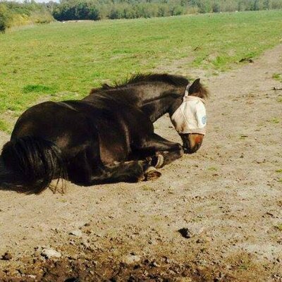 Profile Picture of Ben Rowbotham (@RowbothamBen) on Twitter