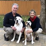 Profile Picture of Richard and Vicki Horowitz (@dogtrainerct) on Instagram