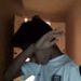 Profile Picture of Tawab Samadi (@tawabsamadi68) on Pinterest