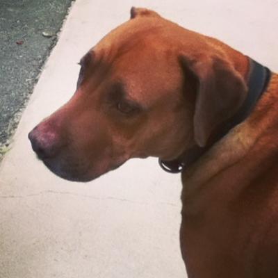 Profile Picture of Daniel De Glas (@XxTHEO19xX) on Twitter