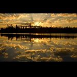 Profile Picture of Alexander Quesada (@alexander.quesada.794) on Instagram