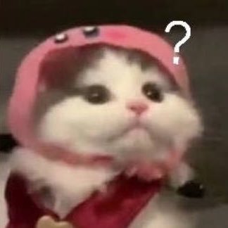 Profile Picture of Rowena Yu (@RowenaYu_) on Twitter