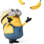 Profile Picture of Kameronadampenner (@kameronadampenner) on Instagram