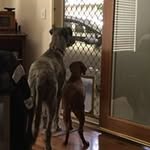 Profile Picture of Trevor Lancaster (@lancaster_trevor) on Instagram