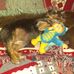 Profile Picture of Pam Holbert (@pam.holbert.777) on Facebook