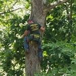 Profile Picture of Steve Donohue (@steve.donohue.31) on Instagram