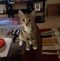 Profile Picture of Floyd Ridgeway (@floyd.ridgeway.37) on Facebook