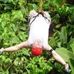 Profile Picture of Aaron Goude (@aagoude) on Facebook