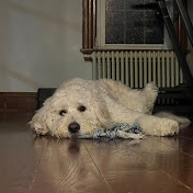 Profile Picture of Derek Choi (@derekchoi7254) on Youtube