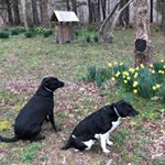 Profile Picture of Teresa Thomas Gathright (@yatlinglet) on Instagram