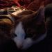 Profile Picture of autumn page (@18autumnmarie) on Pinterest