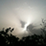 Profile Picture of Paulo Vasconcelos (@Paulo V) on Flickr