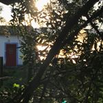 Profile Picture of Carlos Simões (@carlos.simoes.9638) on Instagram