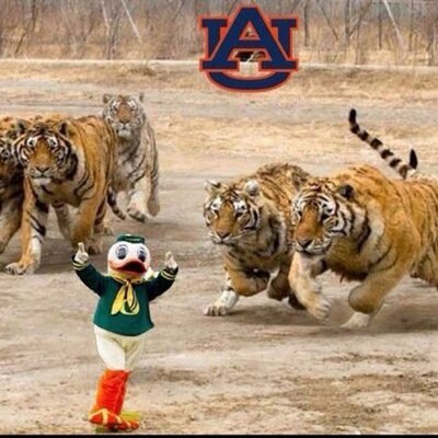 Profile Picture of Brian Gallups (@weagle2u) on Twitter