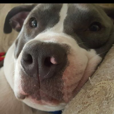 Profile Picture of Alexa Barry (@alexabarry11) on Twitter