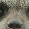 Profile Picture of Mick Barry (@dunbharra) on Flickr