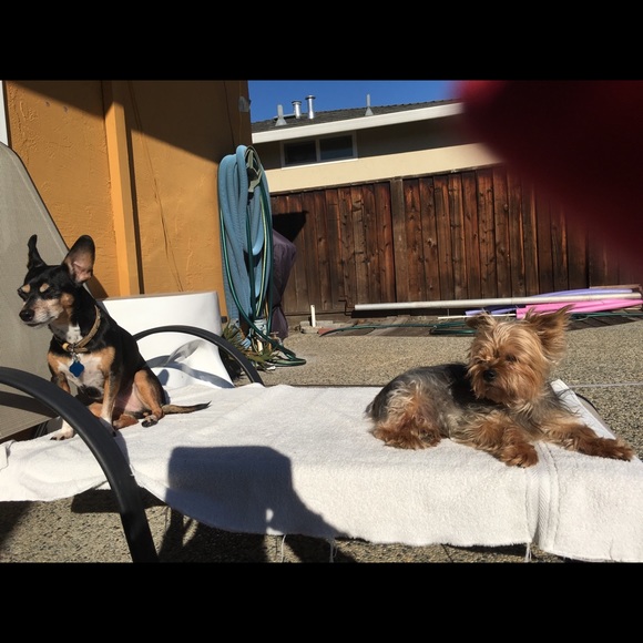 Profile Picture of Daniel Abanto (@danielabanto) on Poshmark