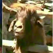 Profile Picture of Dustin Hyatt (@dhigh22) on Youtube