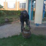 Profile Picture of John Okia (@john.okia) on Instagram