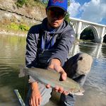 Profile Picture of Matt Niles (@niles92) on Instagram
