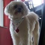 Profile Picture of Zoe Enright (@zoe.enright.3) on Facebook