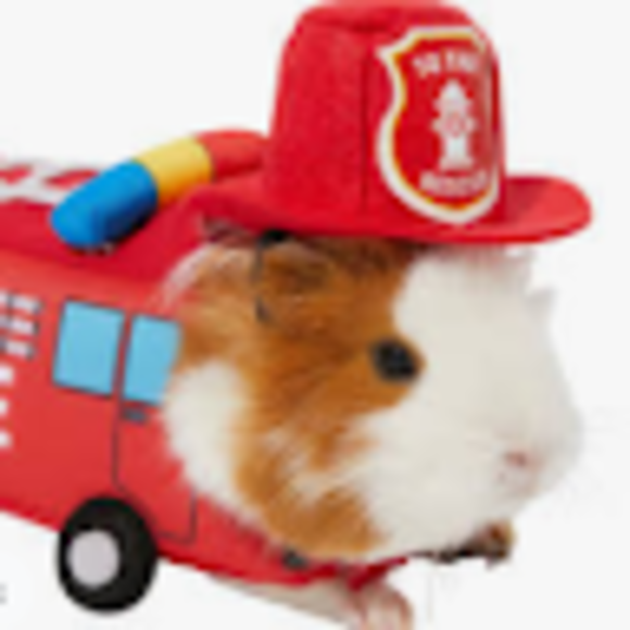 Profile Picture of Katelyn Wagner (@27kwagner) on Poshmark