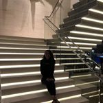 Profile Picture of Rae Quinn (@ambivirtue) on Instagram