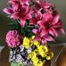 Profile Picture of Marilyn Haughton (@merle.ha.7777) on Facebook