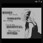 Profile Picture of Asher (@haunted_metal) on Instagram