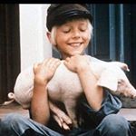 Profile Picture of Björn Senger (@bjoernsenger3) on Instagram