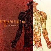 Profile Picture of Brad Novack (@BradNovack) on Youtube